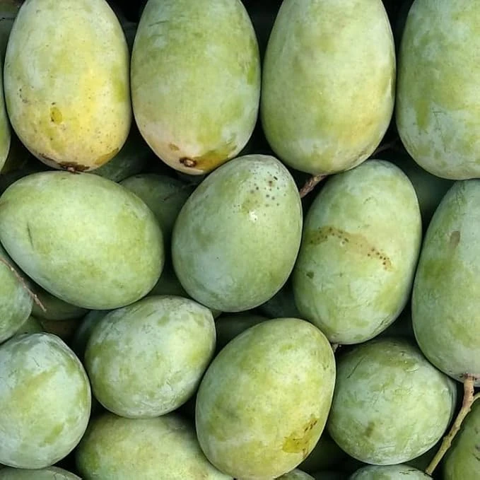 ল্যাংড়া আম (Langra Mango)